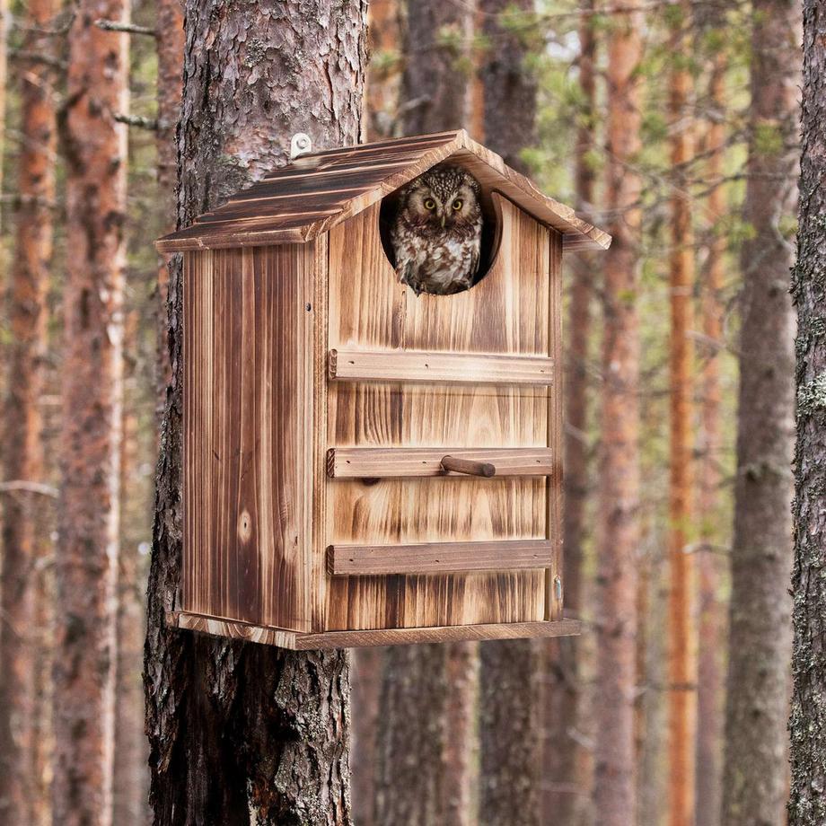 B2X  Eulennistkasten Holz 