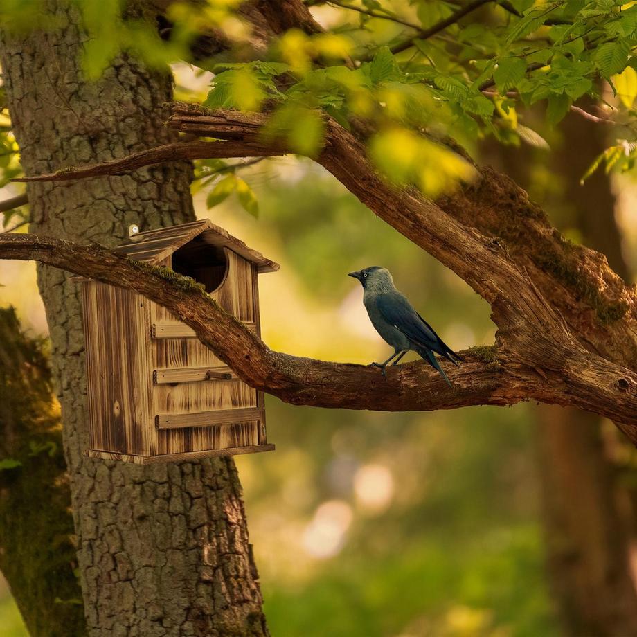 B2X  Eulennistkasten Holz 