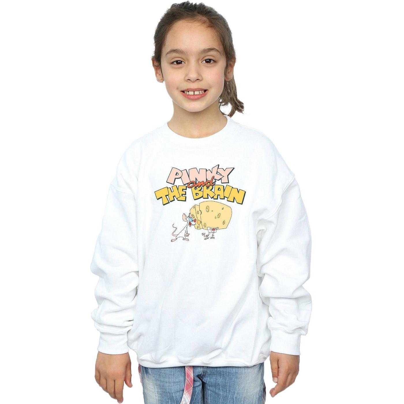 Animaniacs  Sweatshirt 