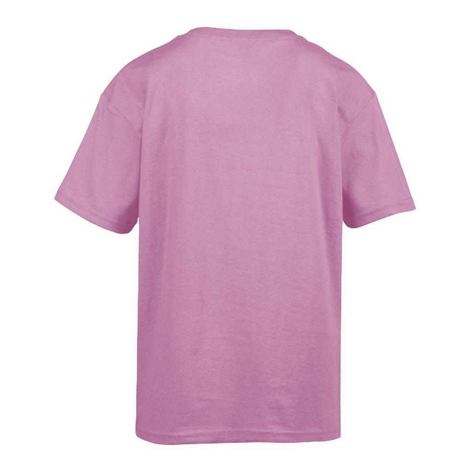 Gildan Softstyle T-Shirt  