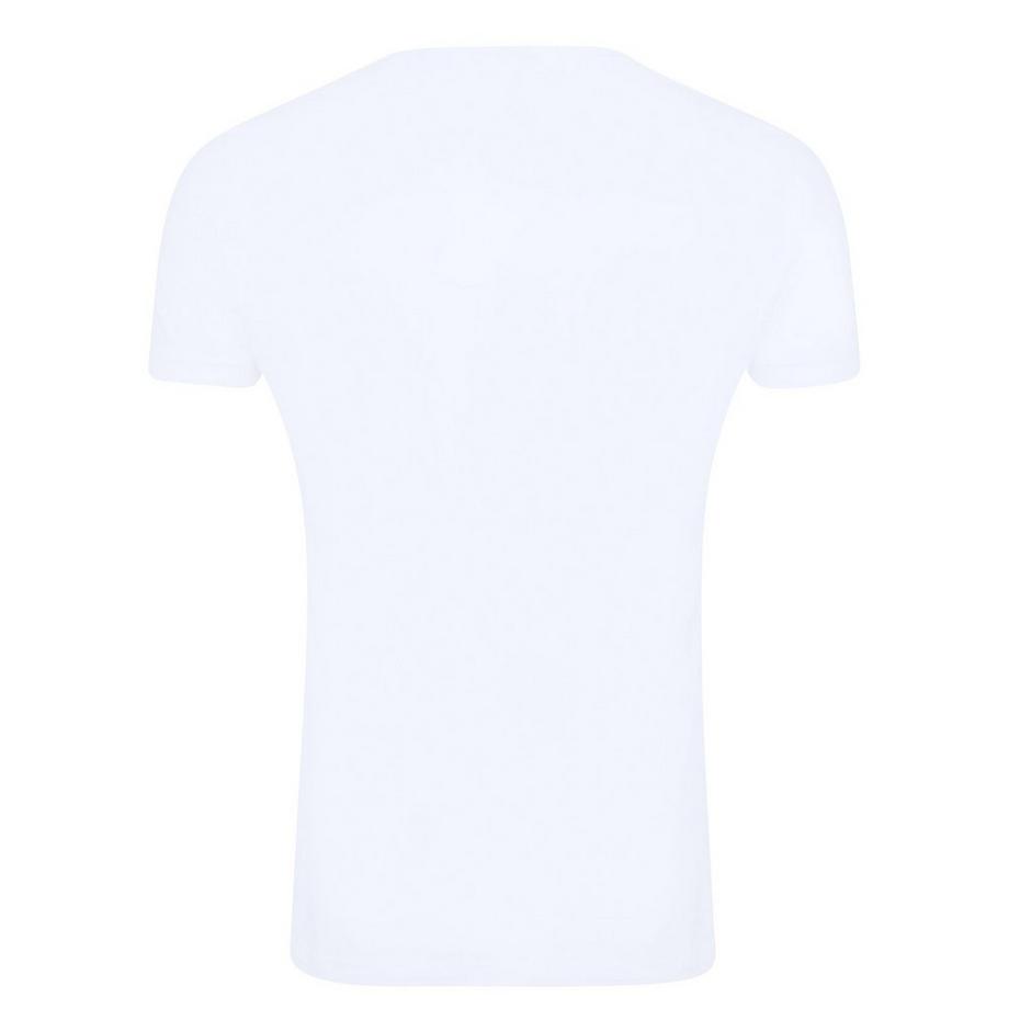 LOONEY TUNES The Tasmanian Devil T-Shirt Imprimé Graphique  