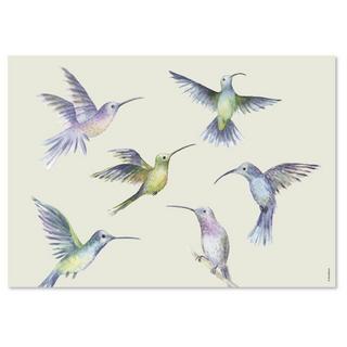 trendform Papiertischset FLY AWAY 4 Sujets à 12 Blatt  