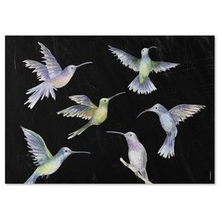 trendform Papiertischset FLY AWAY 4 Sujets à 12 Blatt  
