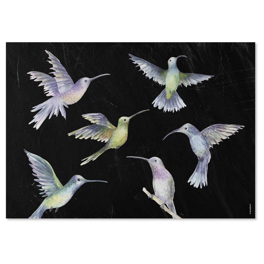 trendform Papiertischset FLY AWAY 4 Sujets à 12 Blatt  