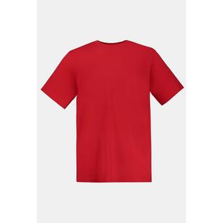 JP1880  T-shirt basic di cotone pettinato con scollo a girocollo, disponibile fino alla taglia 8XL 