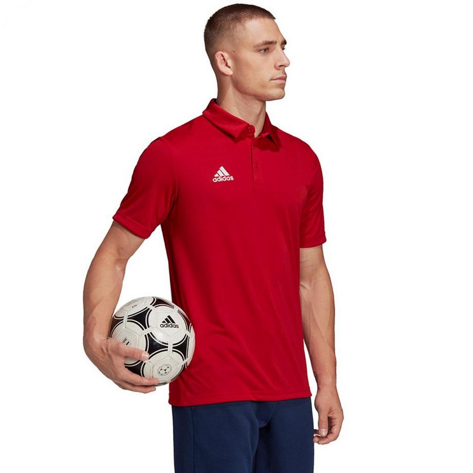 adidas  Polo Entrada 