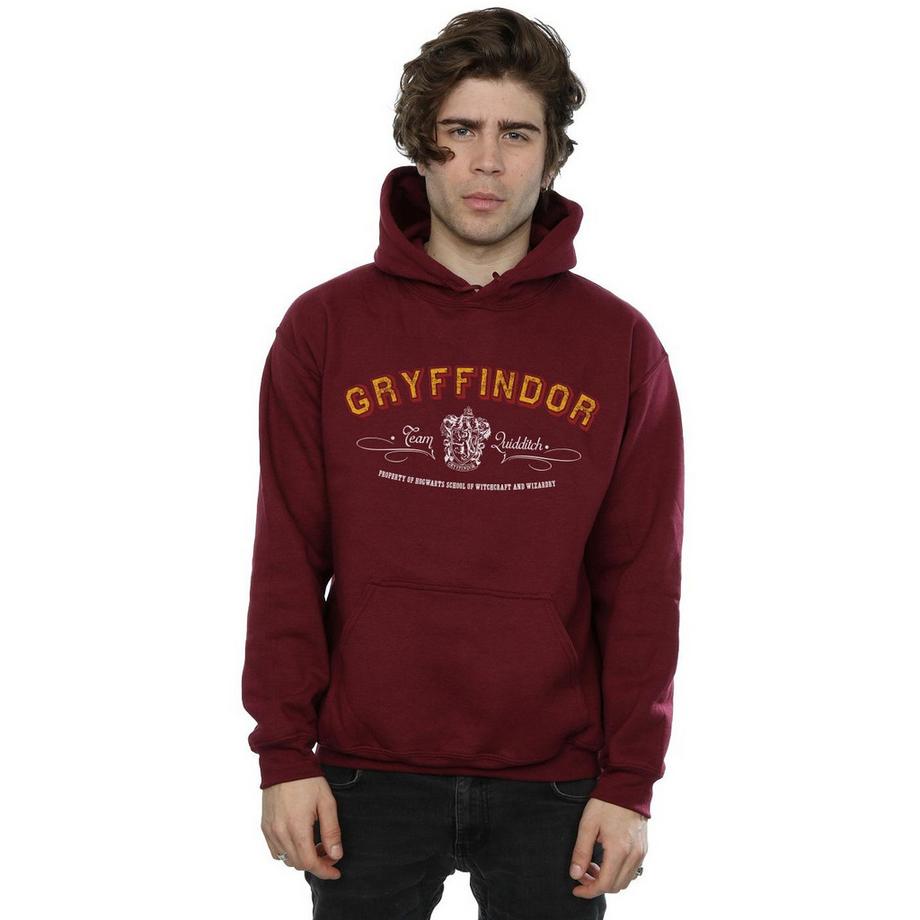 Harry Potter Gryffindor Quidditch Sweat à capuche  