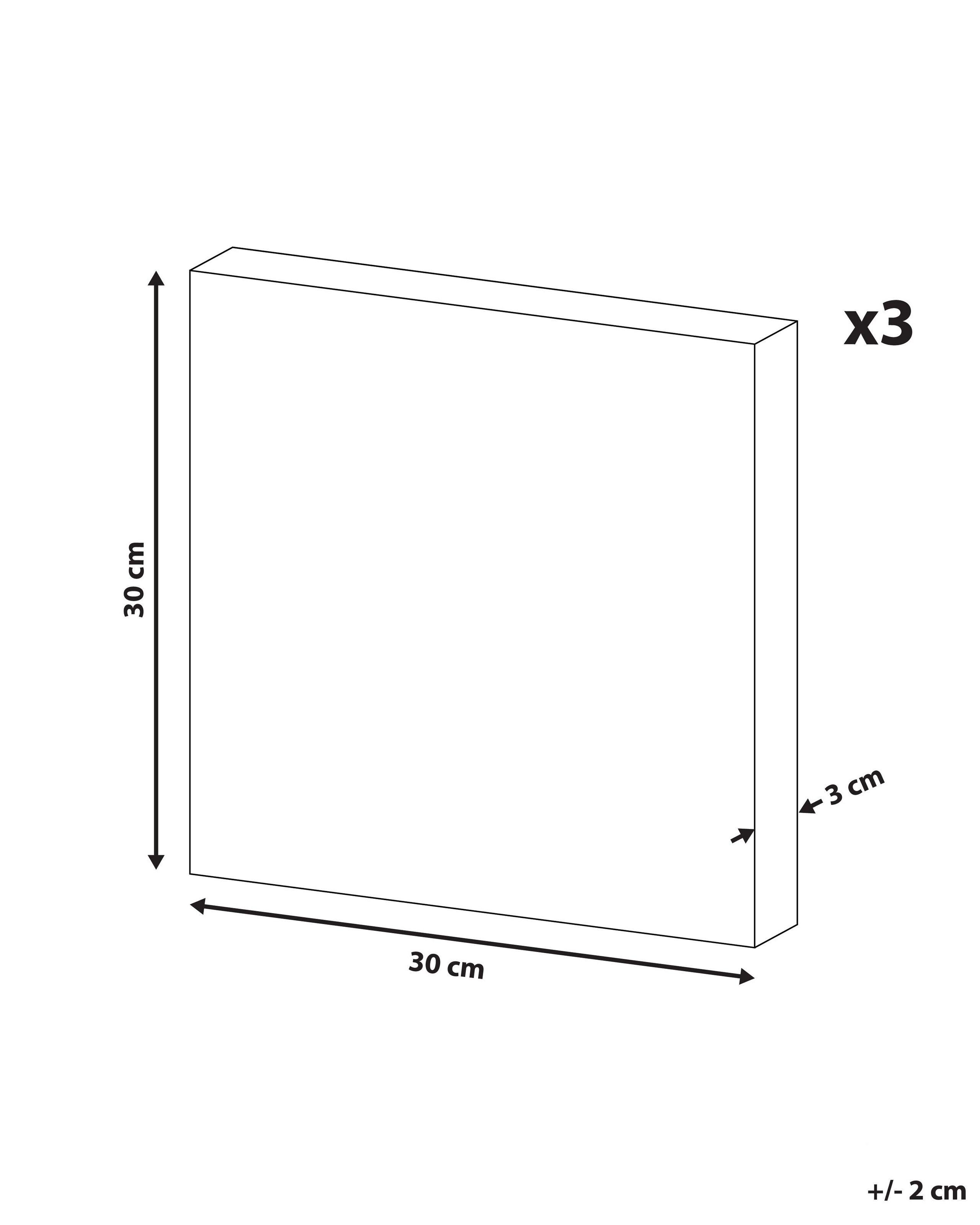 Beliani Lot de 3 toiles en Tissu Moderne TIMIA  