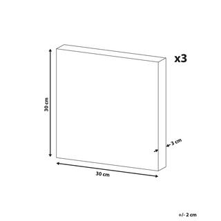 Beliani Lot de 3 toiles en Tissu Moderne TIMIA  