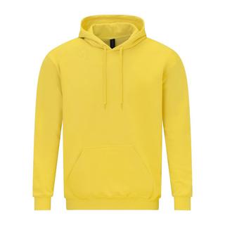 Gildan Softstyle Mittelschwerer Kapuzenpullover  