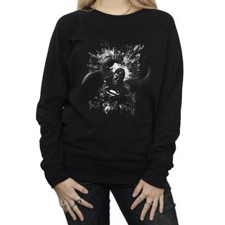 DC COMICS  Sweatshirt 