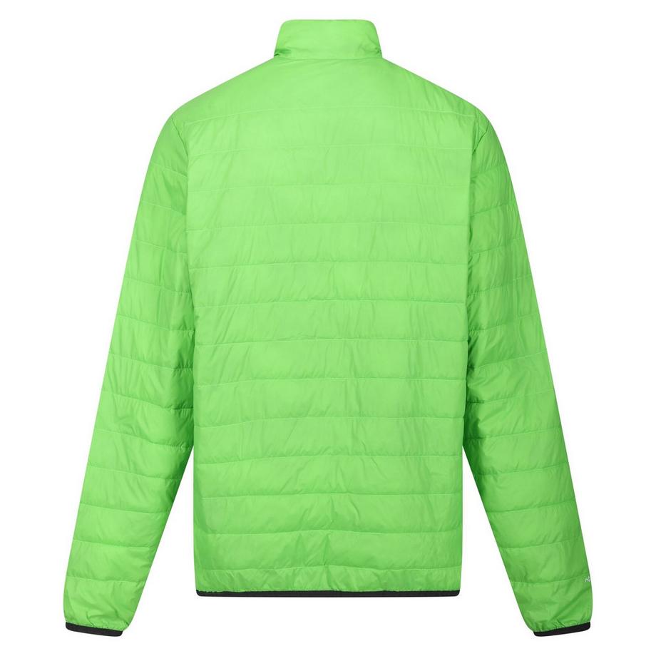 Regatta Hillpack Isolierjacke  