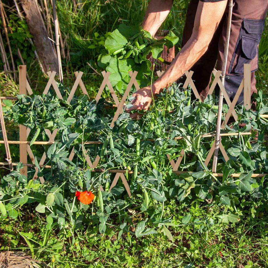 B2X Einziehbares Holzspalier  