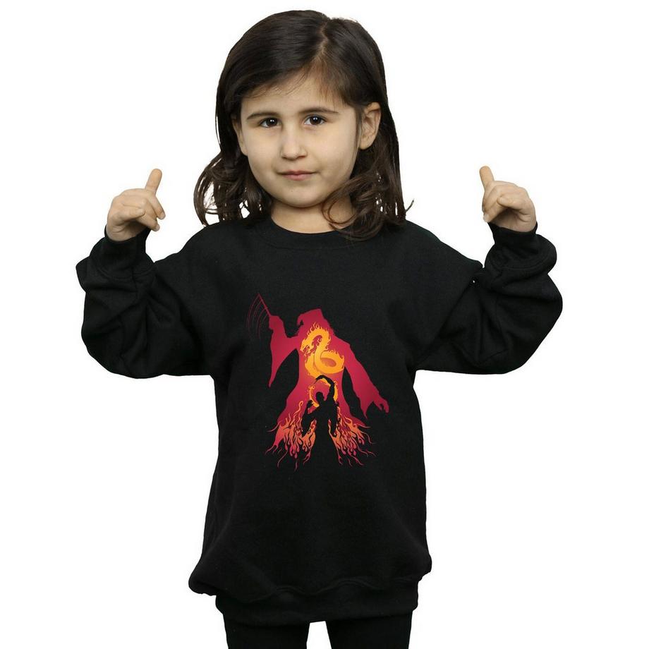 Harry Potter  Sweatshirt 