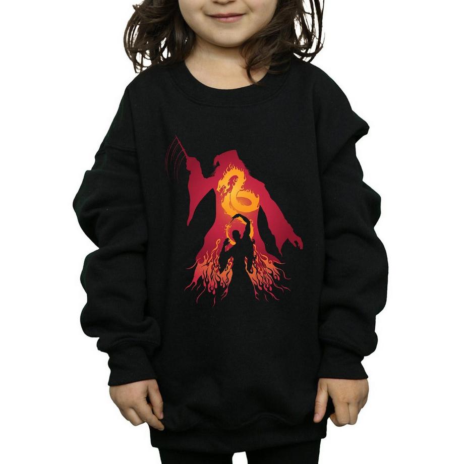 Harry Potter  Sweatshirt 