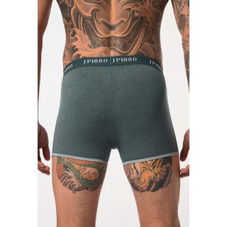 JP1880 FLEXNAMIC Hip-Pant Einzelpack Unterhose  