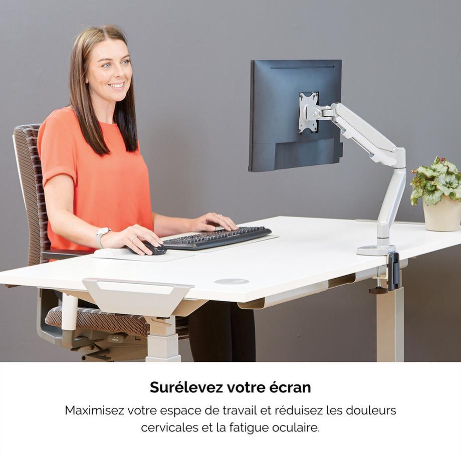Fellowes  Display-Standfuss Eppa 