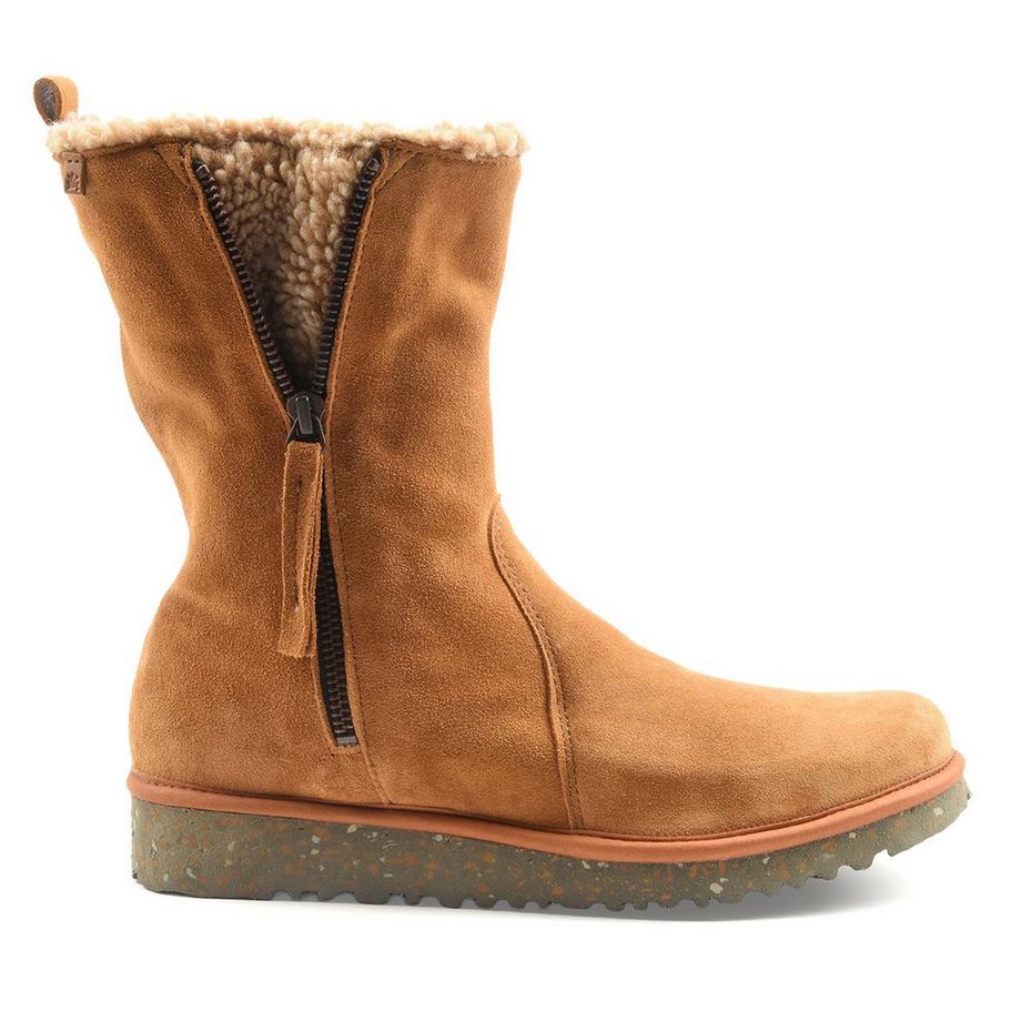 El Naturalista  N5633 FELSEN-42 