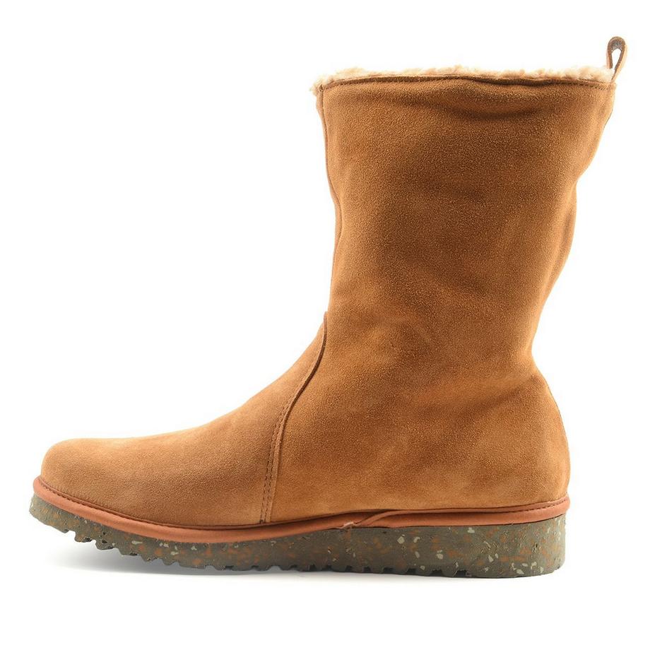 El Naturalista  N5633 FELSEN-42 