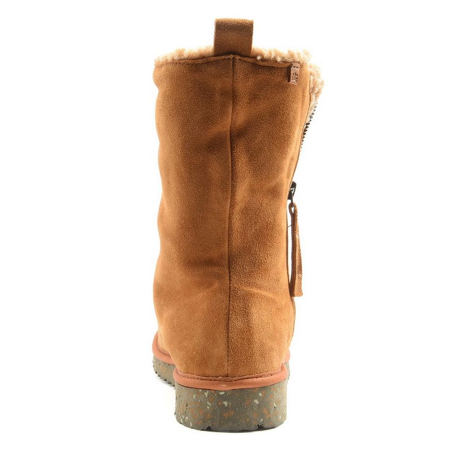 El Naturalista  N5633 FELSEN-42 