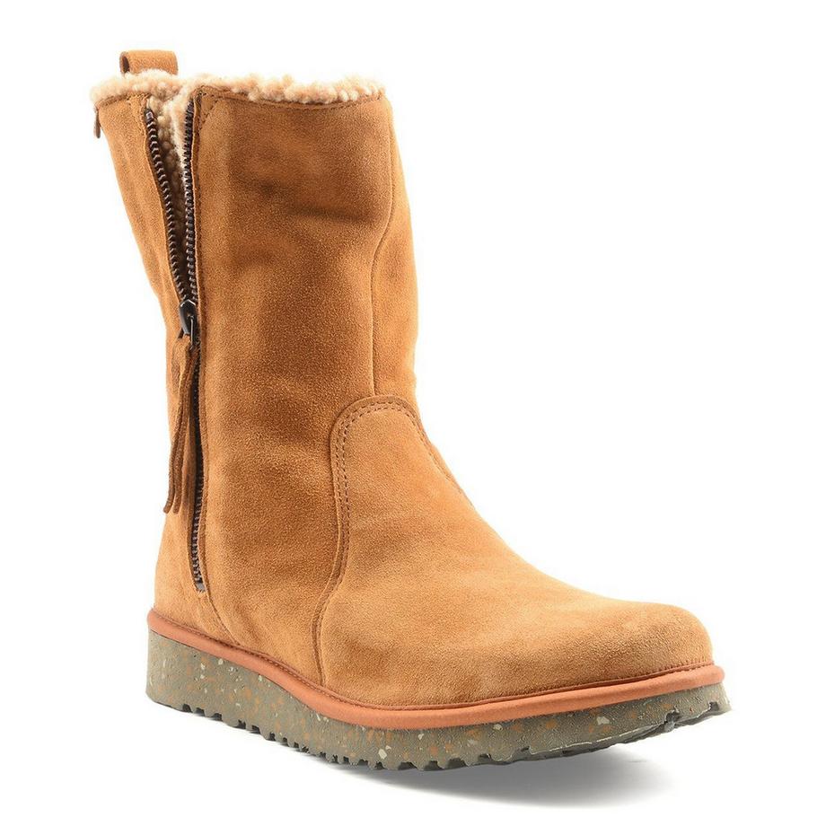 El Naturalista  N5633 FELSEN-42 