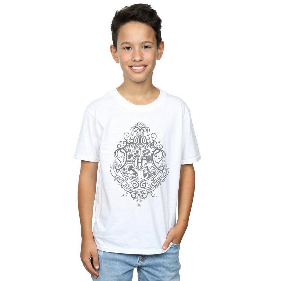 Harry Potter  Tshirt HOGWARTS DRACO DORMIENS 