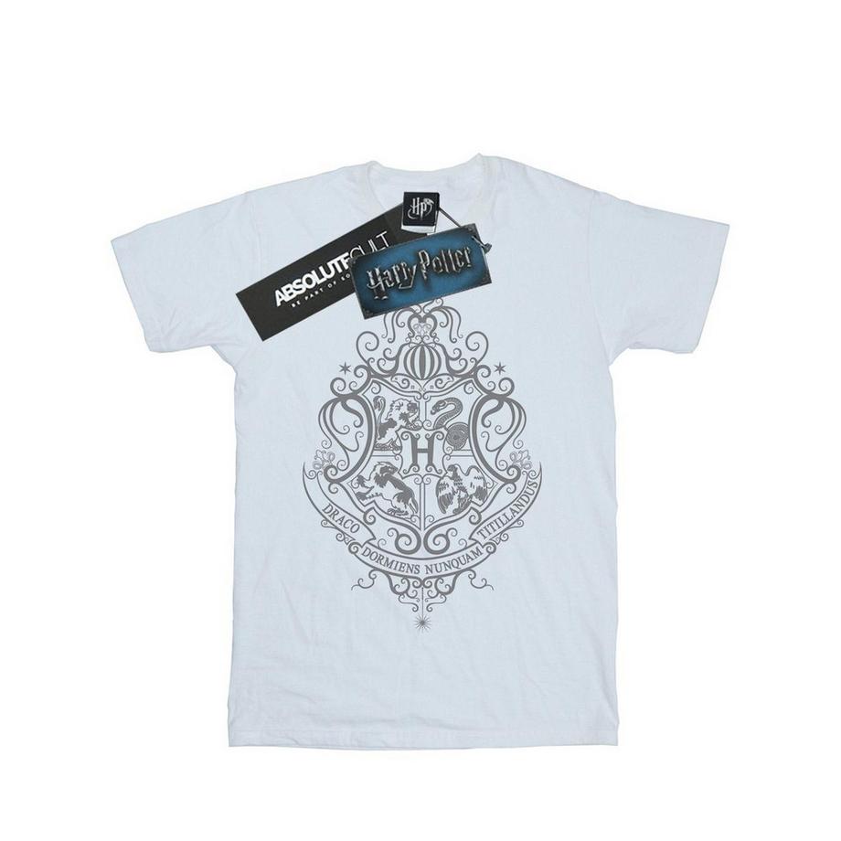 Tshirt HOGWARTS DRACO DORMIENS