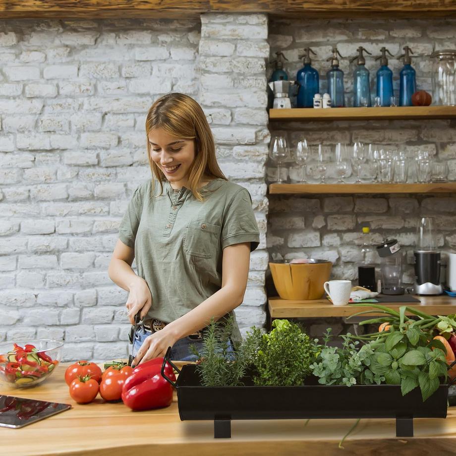 B2X Tomatenanbau im Gewächshaus  