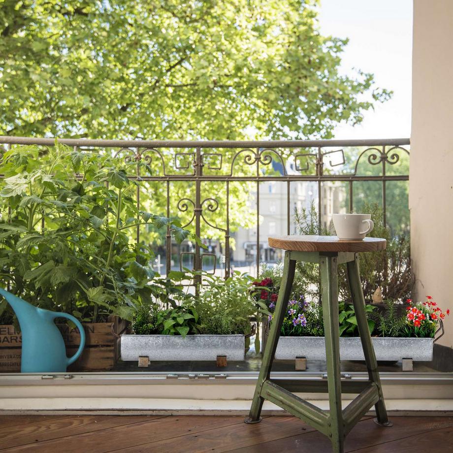 B2X Tomatenanbau im Gewächshaus  