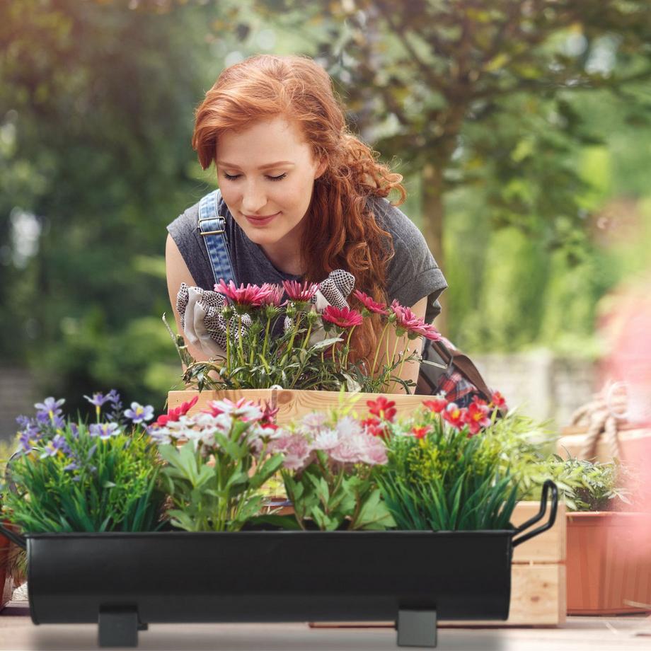 B2X Tomatenanbau im Gewächshaus  