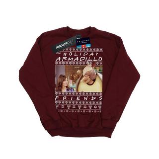 Friends  Holiday Armadillo Sweatshirt 