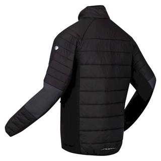 Regatta  Halton VI Softshelljacke 