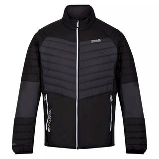 Regatta  Halton VI Softshelljacke 