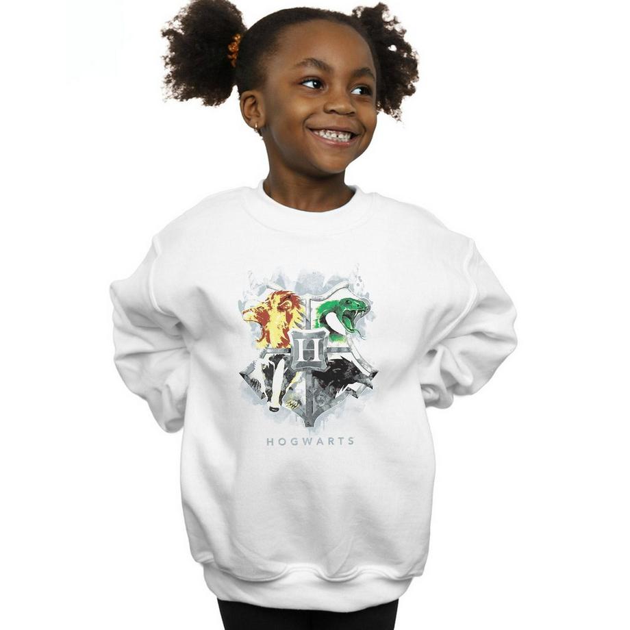 Harry Potter  Hogwarts Sweatshirt 