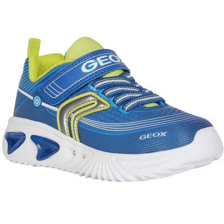 GEOX  Sneaker Assister 