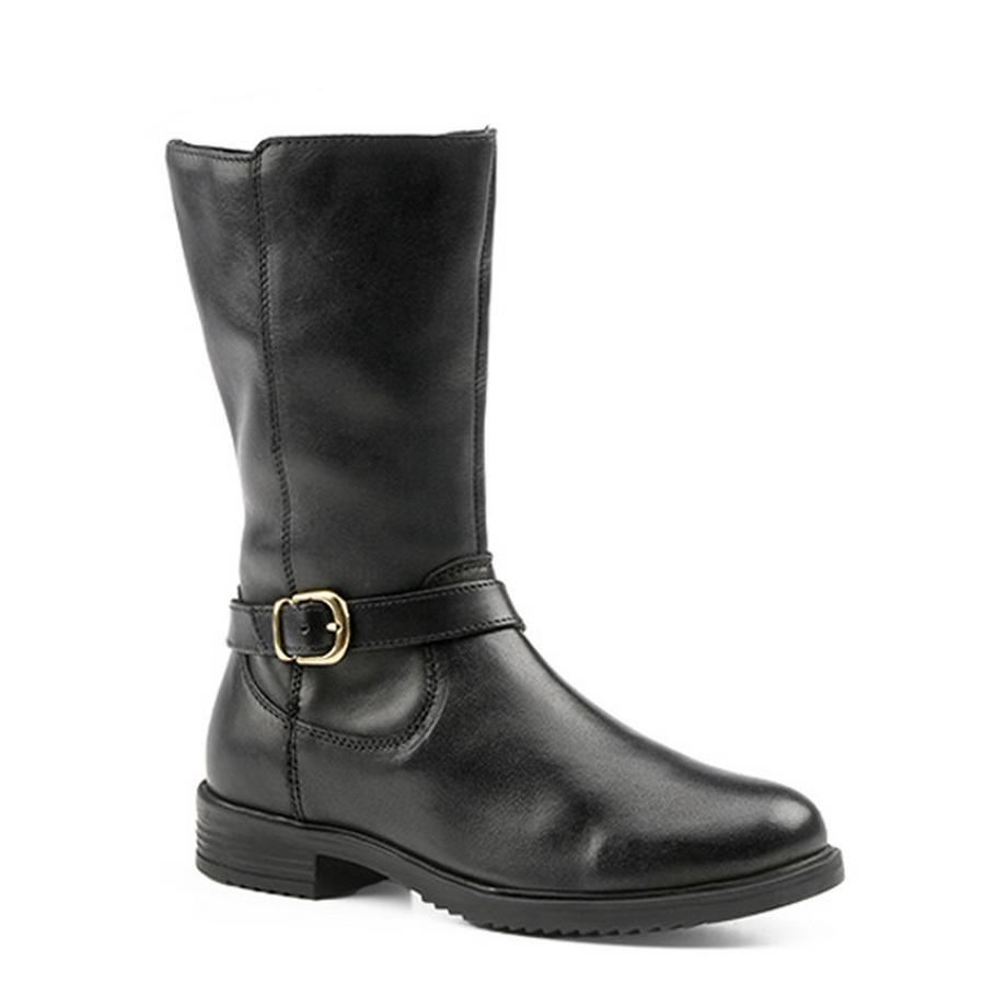 Lilybellule  Dalina-37 