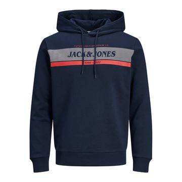 Hoodie Jjalex
