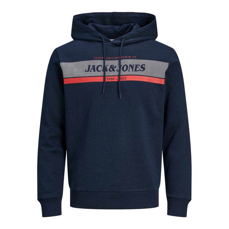 Hoodie Jjalex