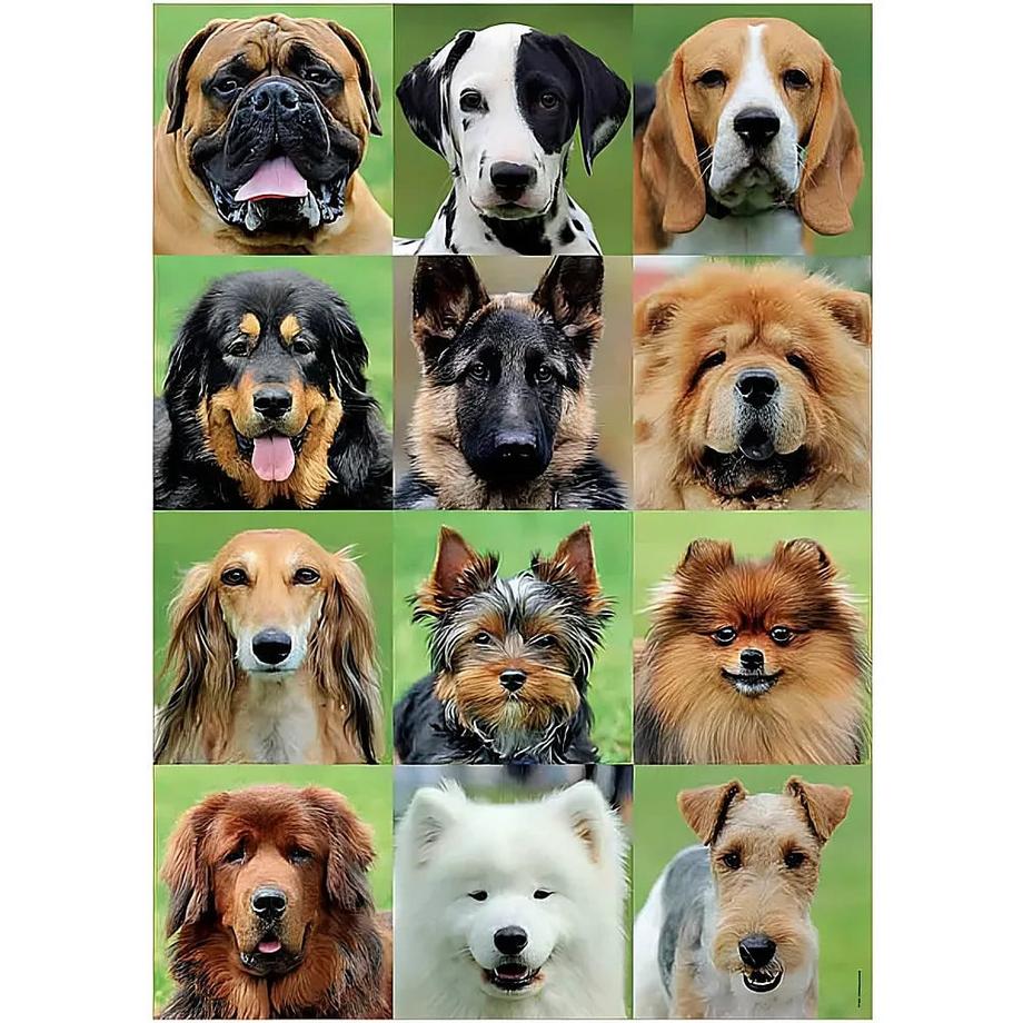 Educa  Puzzle Dogs Collage (500Teile) 