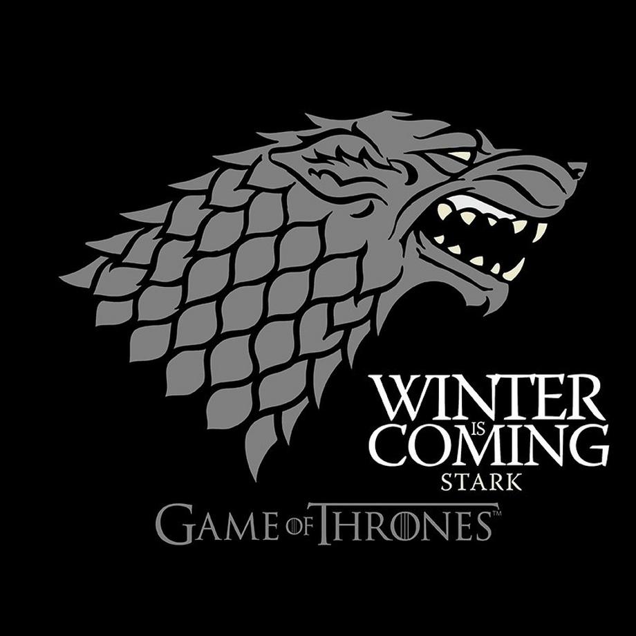 Abystyle Game of Thrones T-Shirt Casa Stark  
