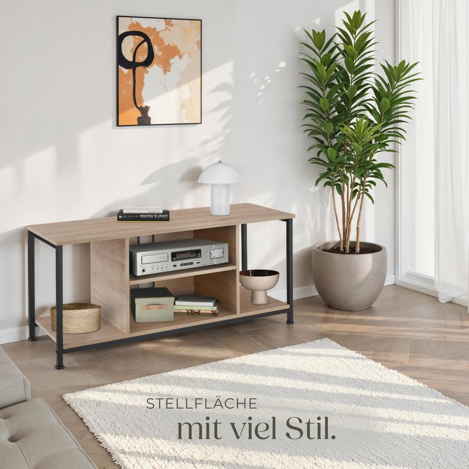 Tectake TV-Regal Austin Industrial Style Holz und Stahl  