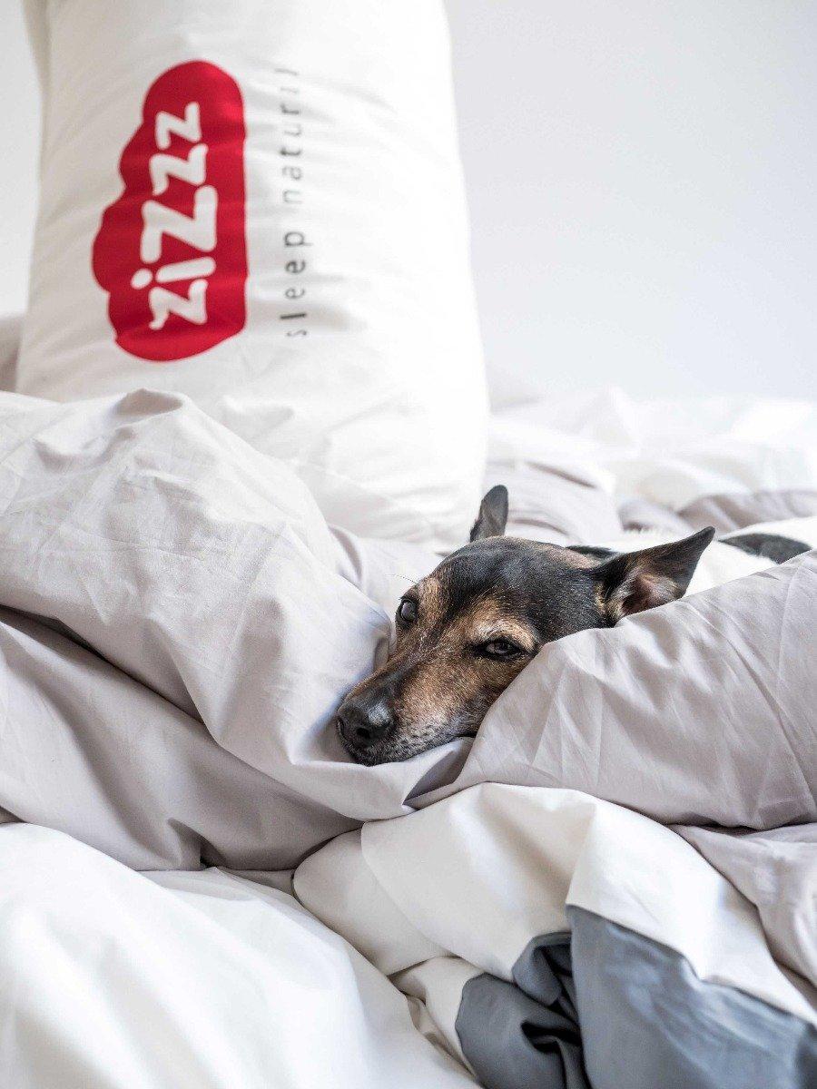 Zizzz Premium Gänsedaunen Duvet  