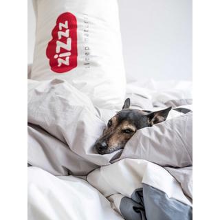 Zizzz Premium Gänsedaunen Duvet  