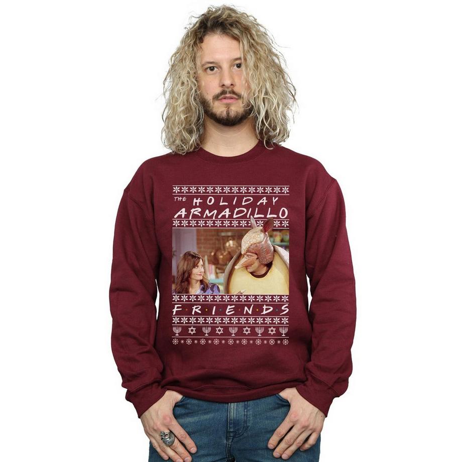 Friends Holiday Armadillo Sweatshirt  