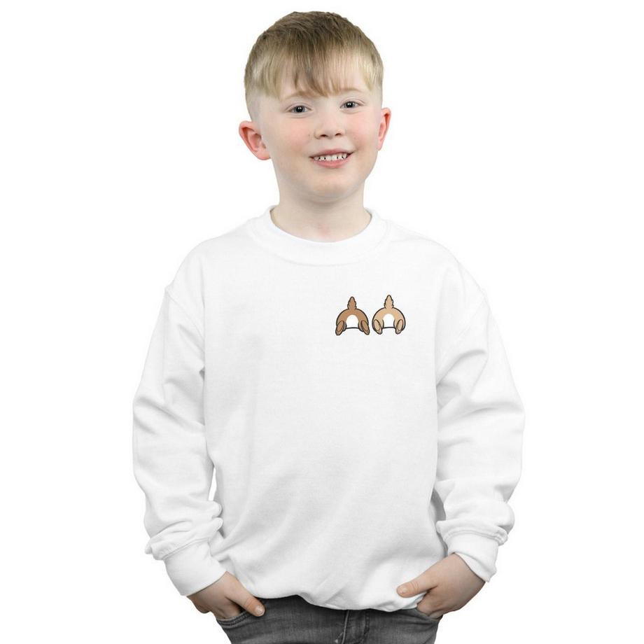 Disney  Chip N Dale Sweatshirt 