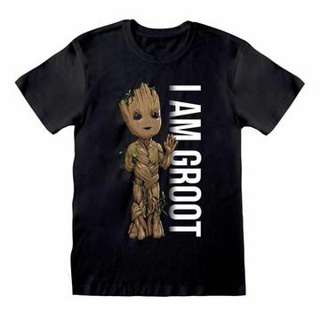 Tshirt AM GROOT