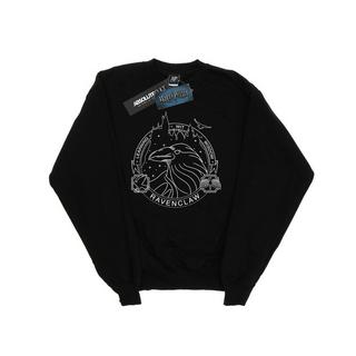 Harry Potter  Ravenclaw Sweatshirt 