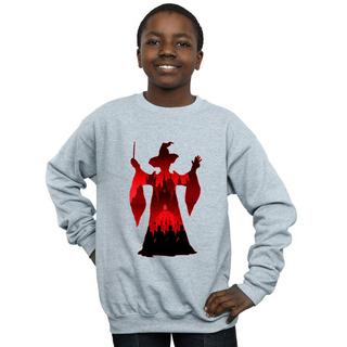 Harry Potter  Sweatshirt 