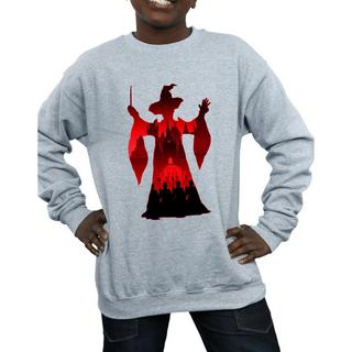 Harry Potter  Sweatshirt 