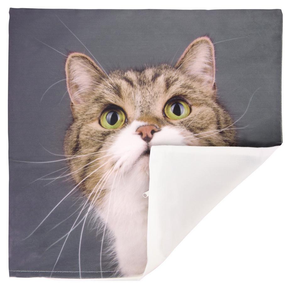 Avizar 2 Stk. Kissenbezüge Katze Schnurrhaare  